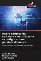 Hassan Mostafa, Amin Nassar, Ahmad Sadek - Radio definita dal software che utilizza la riconfigurazione parziale dinamica