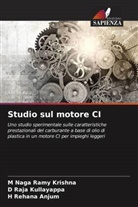 H Rehana Anjum, M Naga Ramy Krishna, D Raja Kullayappa - Studio sul motore CI