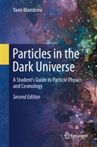 Yann Mambrini - Particles in the Dark Universe