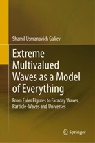 Shamil Usmanovich Galiev - Extreme Multivalued Waves as a Model of Everything