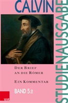 Johannes Calvin, Eberhard Busch, M Freudenberg, Matthias Freudenberg, Alasdair I.C. Heron, Alasdair I C Heron u a... - Der Brief an die Römer