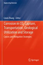 Liwei Zhang - Corrosion in CO2 Capture, Transportation, Geological Utilization and Storage
