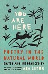 Ada Limn, Ada Limn, Ada Limón - You Are Here