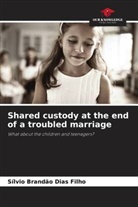 Sílvio Brandão Dias Filho - Shared custody at the end of a troubled marriage