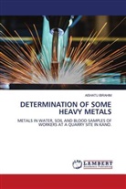 Aishatu Ibrahim - DETERMINATION OF SOME HEAVY METALS