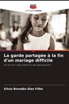 Sílvio Brandão Dias Filho - La garde partagée à la fin d'un mariage difficile