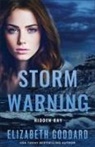 Elizabeth Goddard - Storm Warning