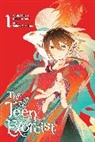 Minna Lin, Shikiji Sorakura, Mitsuru Yuki - The Teen Exorcist, Vol. 1 (manga)