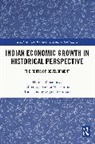 Haruka Yanagisawa, Yanagisawa Haruka, Tsukasa Mizushima - Indian Economic Growth in Historical Perspective
