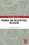 Tristan Grøtvedt Haze - Meaning and Metaphysical Necessity