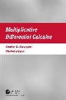 Svetlin Georgiev, Georgiev Svetlin, Khaled Zennir - Multiplicative Differential Calculus