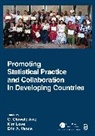 O. Olawale Awe, Kim Love, Eric A. Vance - Promoting Statistical Practice and Collaboration in Developing Countries