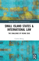 Carolin König - Small Island States & International Law