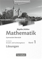 Anton Bigalke, Anton Bigalke, Gabriele Ledworuski, Horst Kuschnerow, Jürgen Wolff, Nor Köhler... - Bigalke/Köhler: Mathematik - Mecklenburg-Vorpommern - Ausgabe 2019 - Band 1 - Grund- und Leistungskurs