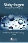 Sonil Nanda, Prakash Kumar Sarangi - Biohydrogen