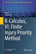 Wei Li, Yuefei Sui - R-Calculus, VI: Finite Injury Priority Method