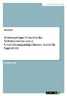 Anonymous - Systemsprenger. Ursachen der Verhaltensweise sowie Unterstützungsmöglichkeiten durch die Jugendhilfe