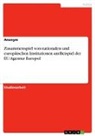 Anonymous - Zusammenspiel von nationalen und europäischen Institutionen am Beispiel der EU-Agentur Europol