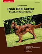Mike Leeser - Traumrasse Irish Red Setter