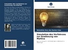 Welwitcha Sory dos Santos Lima - Simulation des Verfahrens zur Gewinnung von Maltina
