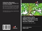 Daniel Callili, Gabriel Coffy Rubin - Coltivazione della papaya Formosa in un clima tropicale e in un terreno sabbioso