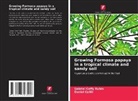 Daniel Callili, Gabriel Coffy Rubin - Growing Formosa papaya in a tropical climate and sandy soil