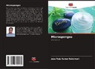 Jaya Raja Kumar Kalaimani - Microsponges