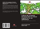 Daniel Callili, Gabriel Coffy Rubin - Culture de la papaye Formosa dans un climat tropical et un sol sablonneux