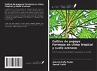 Daniel Callili, Gabriel Coffy Rubin - Cultivo de papaya Formosa en clima tropical y suelo arenoso