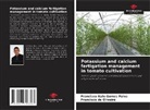 Francisco de Oliveira, Francisco Italo Gomes Paiva - Potassium and calcium fertigation management in tomato cultivation
