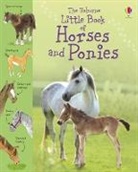 Sarah Kahn, Sarah Khan, Khan Sarah, Stephen Lambert - Little Book of Horses & Ponies