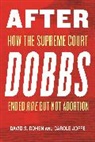 David S Cohen, David S. Cohen, Davis S Cohen, Davis S. Cohen, Carole Joffe - After Dobbs