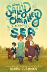 Karen Cushman - When Sally O'Malley Discovered the Sea