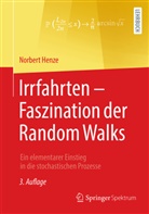Norbert Henze - Irrfahrten - Faszination der Random Walks