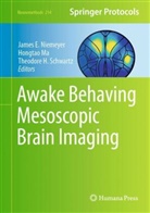 Theodore H Schwartz, Hongtao Ma, James Niemeyer, James E Niemeyer, James E. Niemeyer, Theodore Schwartz... - Awake Behaving Mesoscopic Brain Imaging