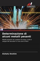 Aishatu Ibrahim - Determinazione di alcuni metalli pesanti