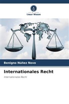 Benigno Núñez Novo - Internationales Recht