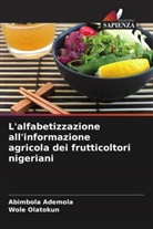 Abimbola Ademola, Wole Olatokun - L'alfabetizzazione all'informazione agricola dei frutticoltori nigeriani