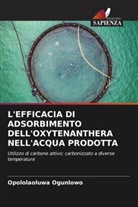 Opololaoluwa Ogunlowo - L'EFFICACIA DI ADSORBIMENTO DELL'OXYTENANTHERA NELL'ACQUA PRODOTTA