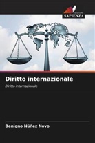 Benigno Núñez Novo - Diritto internazionale