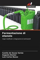 Luiz Carlos Basso, Augusto Bücker, Camila de Souza Varize - Fermentazione di etanolo