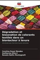 Guilherme Dilarri, Renato Nallin Montagnolli, Carolina Rosai Mendes - Dégradation et biosorption de colorants textiles dans un bioréacteur à levure