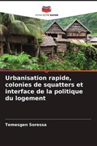 Temesgen Soressa - Urbanisation rapide, colonies de squatters et interface de la politique du logement