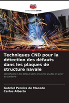 Carlos Alberto, Gabriel Pereira de Macedo - Techniques CND pour la détection des défauts dans les plaques de structure navale