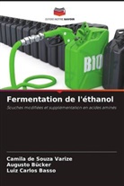 Luiz Carlos Basso, Augusto Bücker, Camila de Souza Varize - Fermentation de l'éthanol