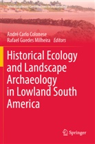 André Carlo Colonese, André Carlo Colonese, Guedes Milheira, Rafael Guedes Milheira - Historical Ecology and Landscape Archaeology in Lowland South America