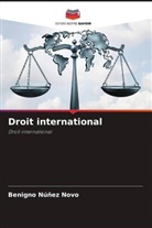 Benigno Núñez Novo - Droit international