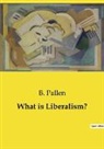 B. Pallen - What is Liberalism?