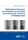 Claudia Susanne Hübner - Methodische Evaluation von Verfahren zur Korrektur atmosphärischer Turbulenz in Bildsequenzen