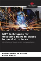 Carlos Alberto, Gabriel Pereira de Macedo - NDT techniques for detecting flaws in plates in naval structures